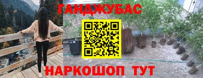 шишки Тверь