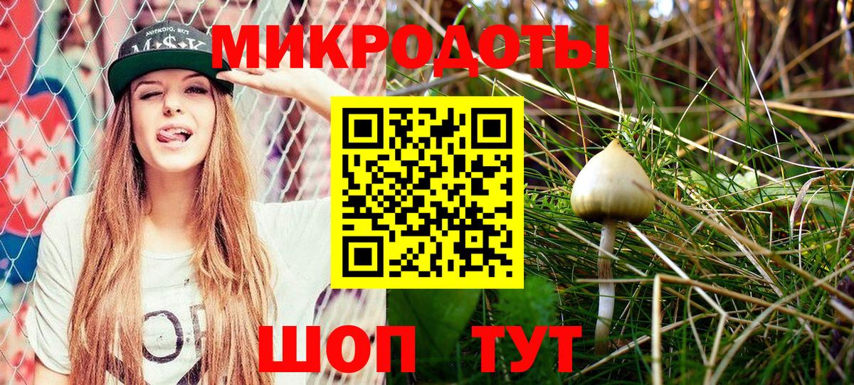 Северск  сколько стоит  Вход с VPN  Псилоцибиновые грибы мицелий 